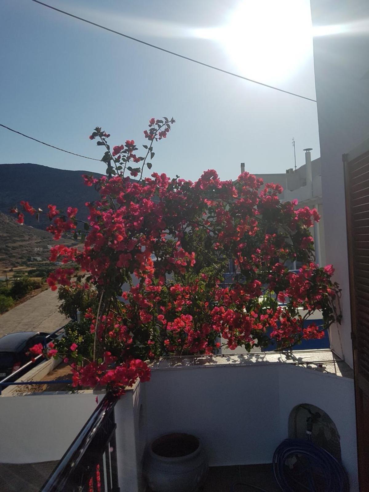 Hotel Chrysa House Kamares  Exterior foto